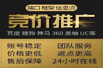 推广竞价策略优化：借鉴成功案例实现精准营销